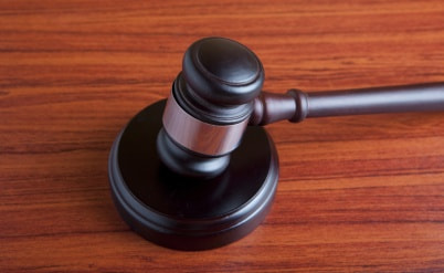 הסדר הטיעון התקבל: 6 חודשי עבודות שירות למרגלית צנעני