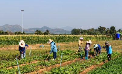 מעסיק עובדים זרים - מה עליך לקחת בחשבון?