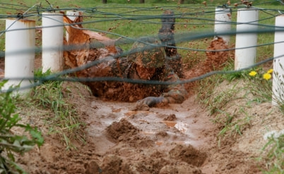 משרד הביטחון – נכי צה"ל, שאלות ותשובות