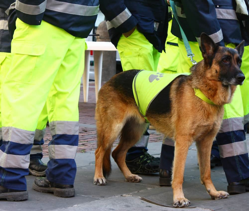 קרוב משפחה שלכם נעדר? תשכחו מהמתנה של 24 שעות