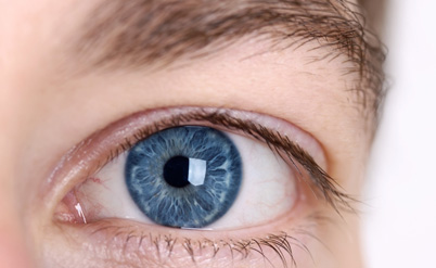 אתה? ילד ממזר?